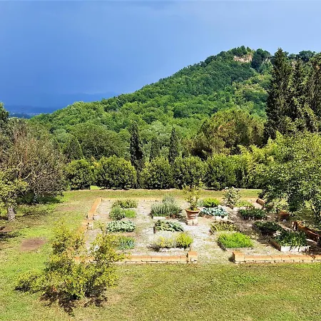 L'olivo Country & * Bassano in Teverina