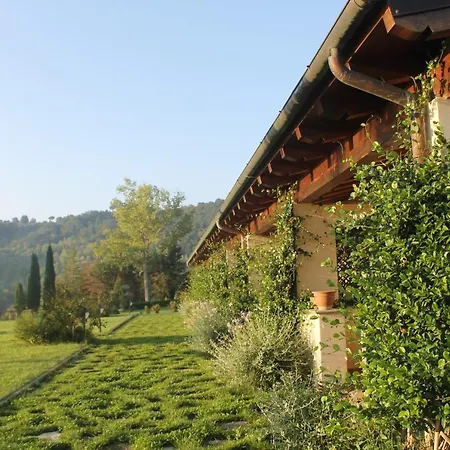 Resort L'olivo Country & Bassano in Teverina